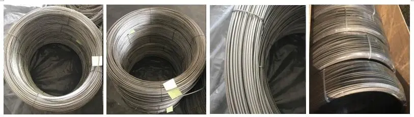 Package and Shipping