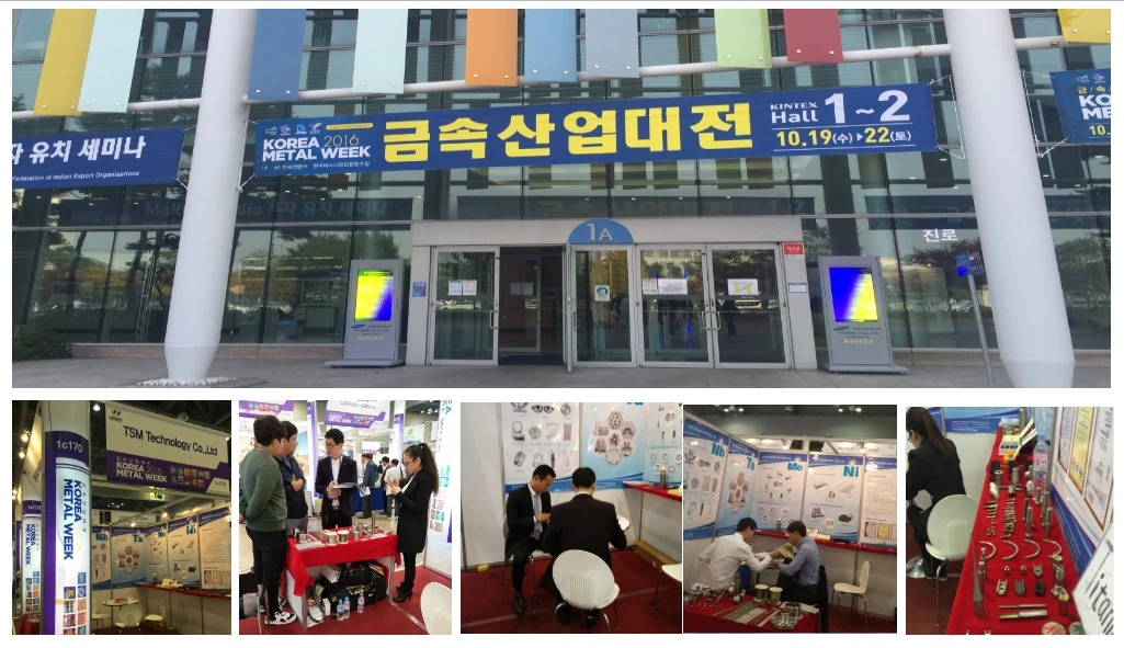 Company Exhibition Company Exhibition