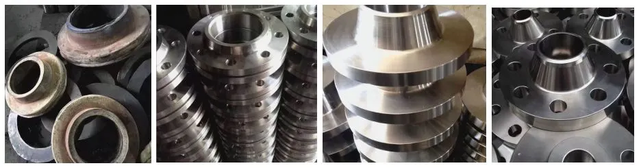  Hastelloy B Flange